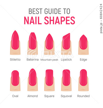 Nail shapes manicure vector art. Fingernail... - Stock Illustration  [60842424] - PIXTA