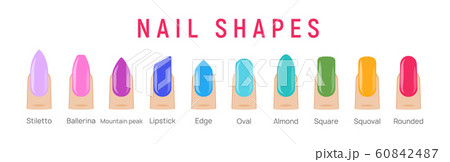 Nail shapes manicure vector art. Fingernail shape french form design fashion salon 60842487