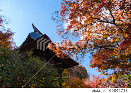 紅葉と鐘楼 紅葉と鐘楼 60842758