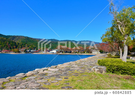 奥琵琶湖 湖岸緑地大浦園地 奥琵琶湖 湖岸緑地大浦園地 60842885
