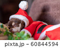 サンタクロース 60844594