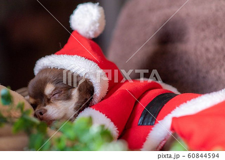 サンタクロース サンタクロース 60844594