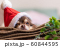 サンタクロース 60844595