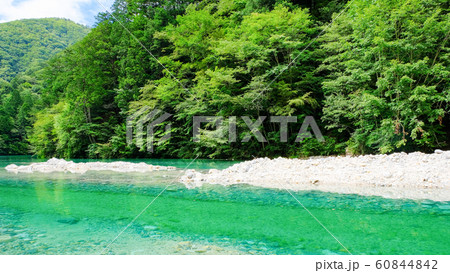 伊奈川渓谷 （夏） 60844842