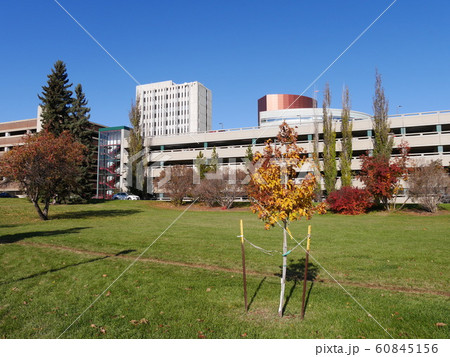 Mazankowski heart instituteとUniversity of Alberta Mazankowski heart instituteとUniversity of Alberta 60845156