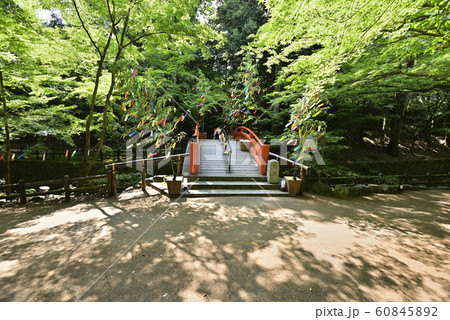 北野天満宮　史跡御土居　もみじ苑　鶯橋 60845892