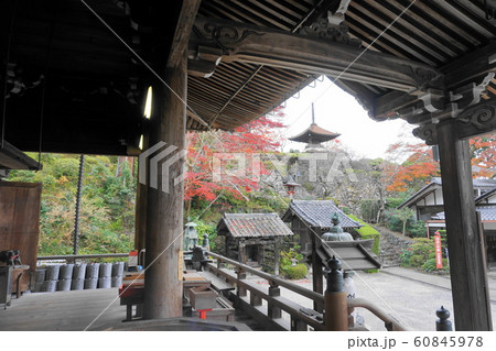 善峯寺の紅葉 60845978