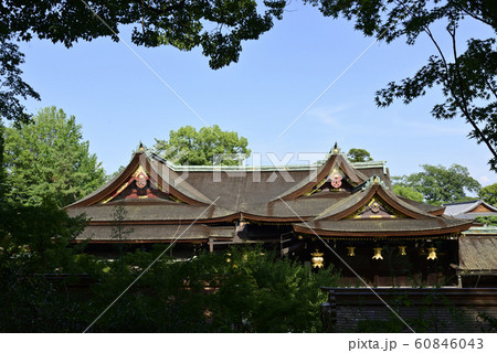 北野天満宮 社殿(本殿) 北野天満宮 社殿(本殿) 60846043