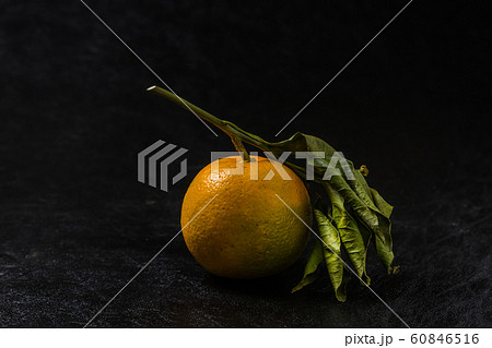 正月飾り だいだい New Year decoration Japanese orange 正月飾り だいだい New Year decoration Japanese orange 60846516