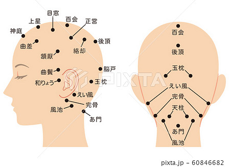 頭のつぼ 健康のイラスト素材