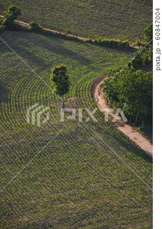 Road view from above with tree in the countryside Road view from above with tree in the countryside 60847004