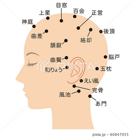 頭のつぼ 健康のイラスト素材