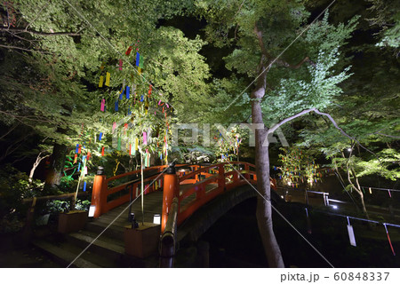 北野天満宮 史跡御土居 もみじ苑 鶯橋 北野天満宮 史跡御土居 もみじ苑 鶯橋 60848337