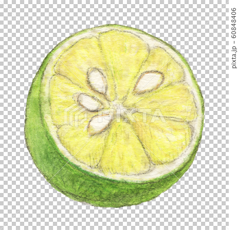 かぼす 手描き 水彩のイラスト素材