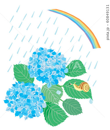 6月の水色の紫陽花とカタツムリと虹と雨の風景のイラスト素材