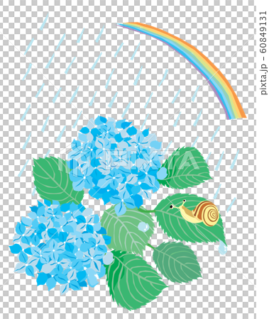 June light blue hydrangea, snails, rainbow and rainy landscape June light blue hydrangea, snails, rainbow and rainy landscape 60849131