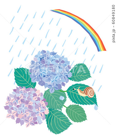 6月の紫の紫陽花とカタツムリと虹と雨の風景のイラスト素材