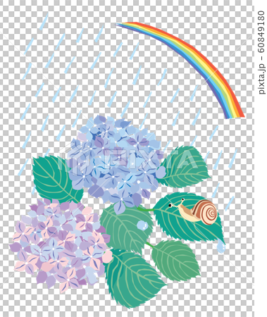 A June landscape of hydrangeas, snails, rainbows and rain A June landscape of hydrangeas, snails, rainbows and rain 60849180