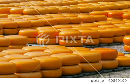 チーズ市 アルクマールのチーズ市 オランダ アルクマールの写真素材 60849190 Pixta