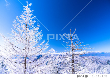 《山梨県》霧氷の森・三つ峠 60849486