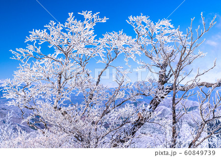 《山梨県》霧氷の森・三つ峠 60849739