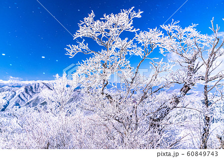 《山梨県》霧氷の森・三つ峠 60849743