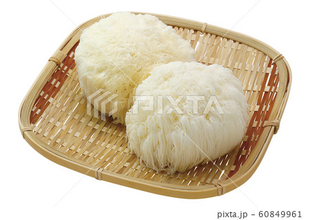 ヤマブシダケ03(パス付き) ヤマブシダケ03(パス付き) 60849961