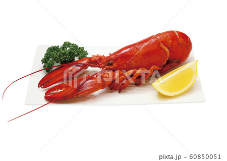 ボイルロブスター02(パス付き) ボイルロブスター02(パス付き) 60850051