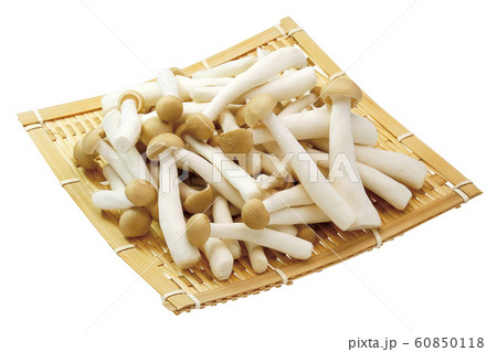 カットブナシメジ02（パス付き） 60850118