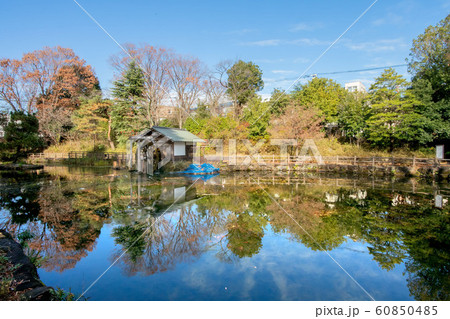 鍋島松濤公園 鍋島松濤公園 60850485