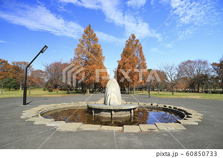 東京都立舎人公園（とねりこうえん）のメタセコイア 60850733