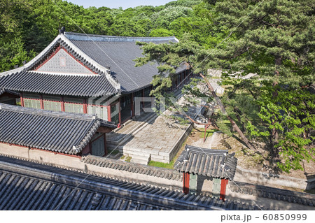 昌徳宮 宮殿 風景 60850999