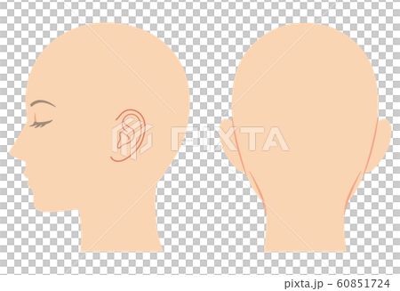 Head profile 60851724