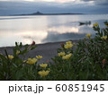 夕暮れ 60851945