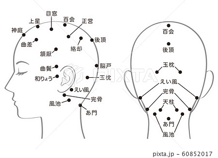 頭のつぼ 健康のイラスト素材