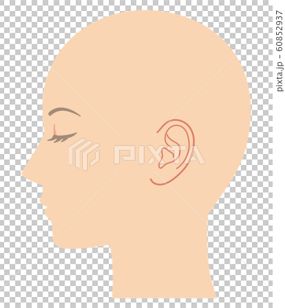 頭部輪廓 60852937