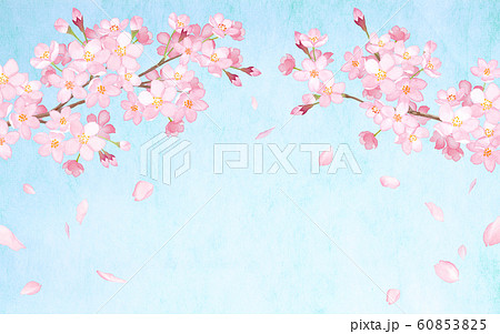 春の花 さくらと散る花びらのアーチ型フレーム 水彩イラストのイラスト素材