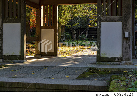 【神奈川県】鎌倉 浄智寺 紅葉 【神奈川県】鎌倉 浄智寺 紅葉 60854524