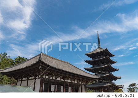 奈良 興福寺 五重塔 奈良 興福寺 五重塔 60855501