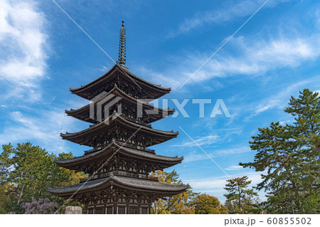 奈良 興福寺 五重塔 奈良 興福寺 五重塔 60855502