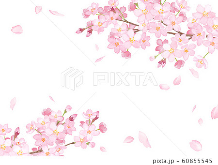 春の花 さくらと散る花びらのフレーム 水彩イラストのイラスト素材