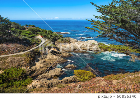 Big Sur 60856340