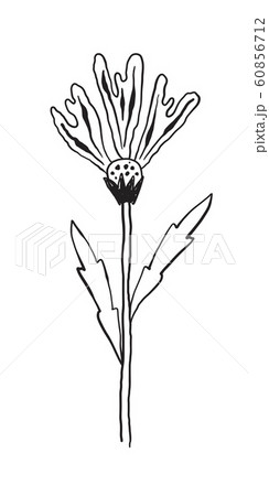 Vector Unreal Flower Vector Unreal Flower 60856712