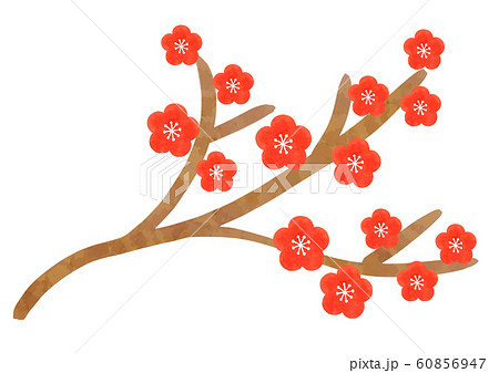 梅　桃　枝 60856947