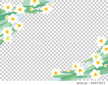 水仙 水仙 60857021