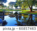 三八城公園の池 60857463