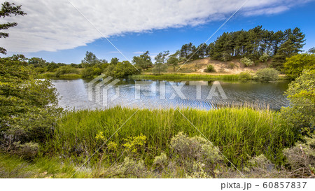 Aquatic landscape AWD Aquatic landscape AWD 60857837