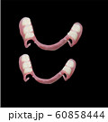 A removable denture in abstract style on light background. Tooth treatment concept. Design element 60858444