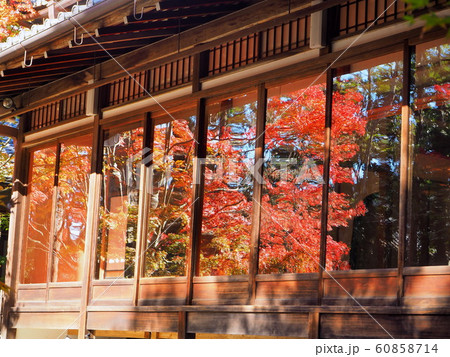 京都　天授庵　11月　最盛期の紅葉 60858714