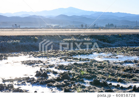 霊峰白山 白山 石川県能美市から/2019年12月25日早朝撮影 霊峰白山 白山 石川県能美市から/2019年12月25日早朝撮影 60858728